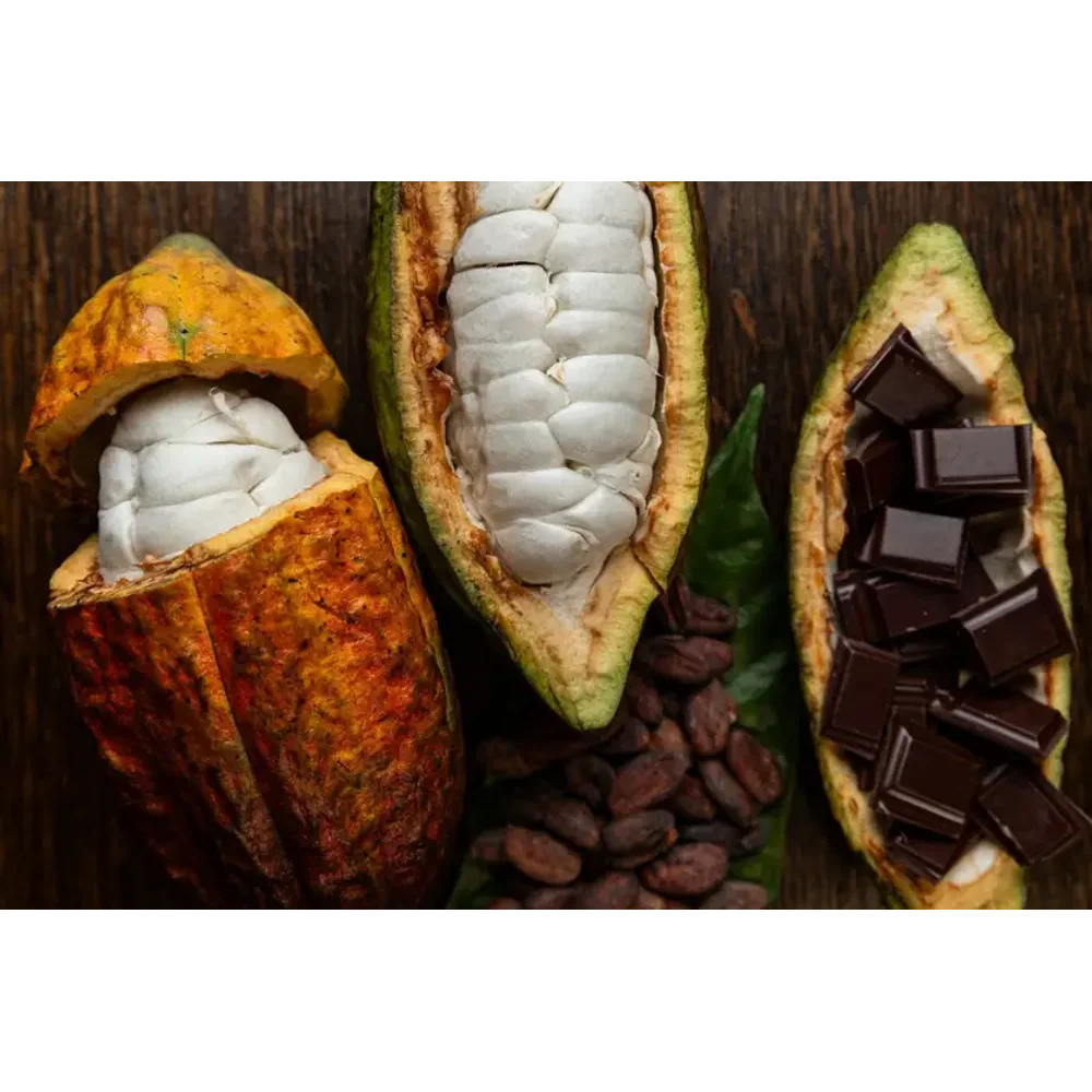 Cocoa Powder and Butter