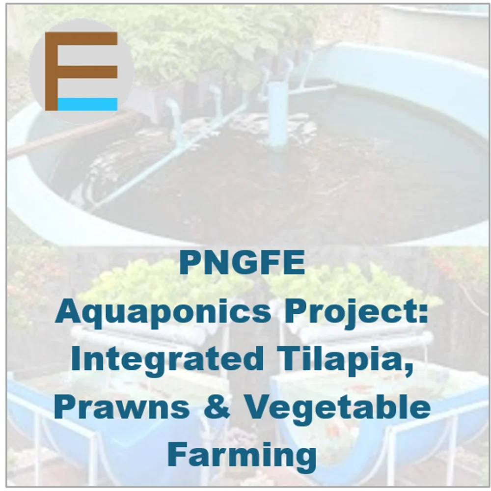 Aquaponics Project: Integrated Tilapia, Prawns & Vegetable Farming