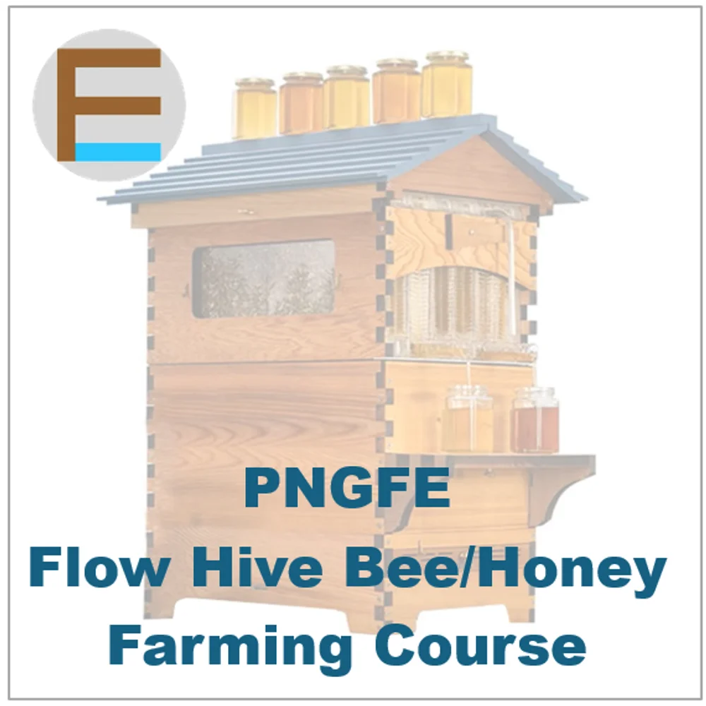 Flow Hive Bee/Honey Farming Course