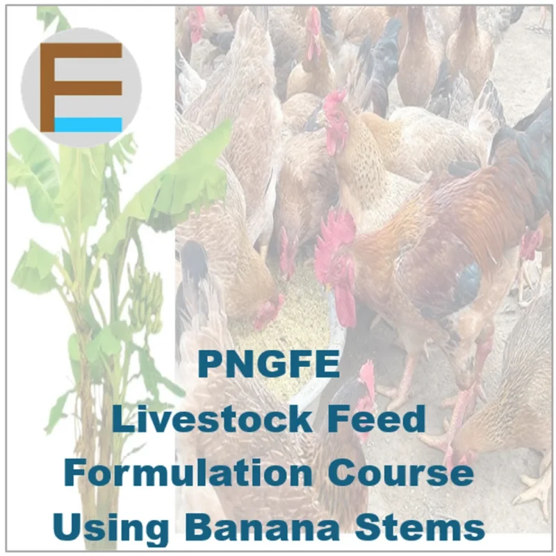 Banana Stem Livestock Feed Formulation Course
